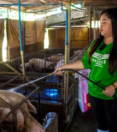 Pig tips for beginners